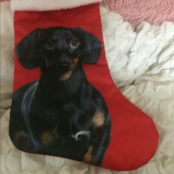 I ❤️ My Doxie Doggy 🐶 Stocking!! - Picture 3 of 7